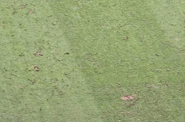 SPQ, 不小的影响, PaUue SPQ, 不小的影响, PaUue