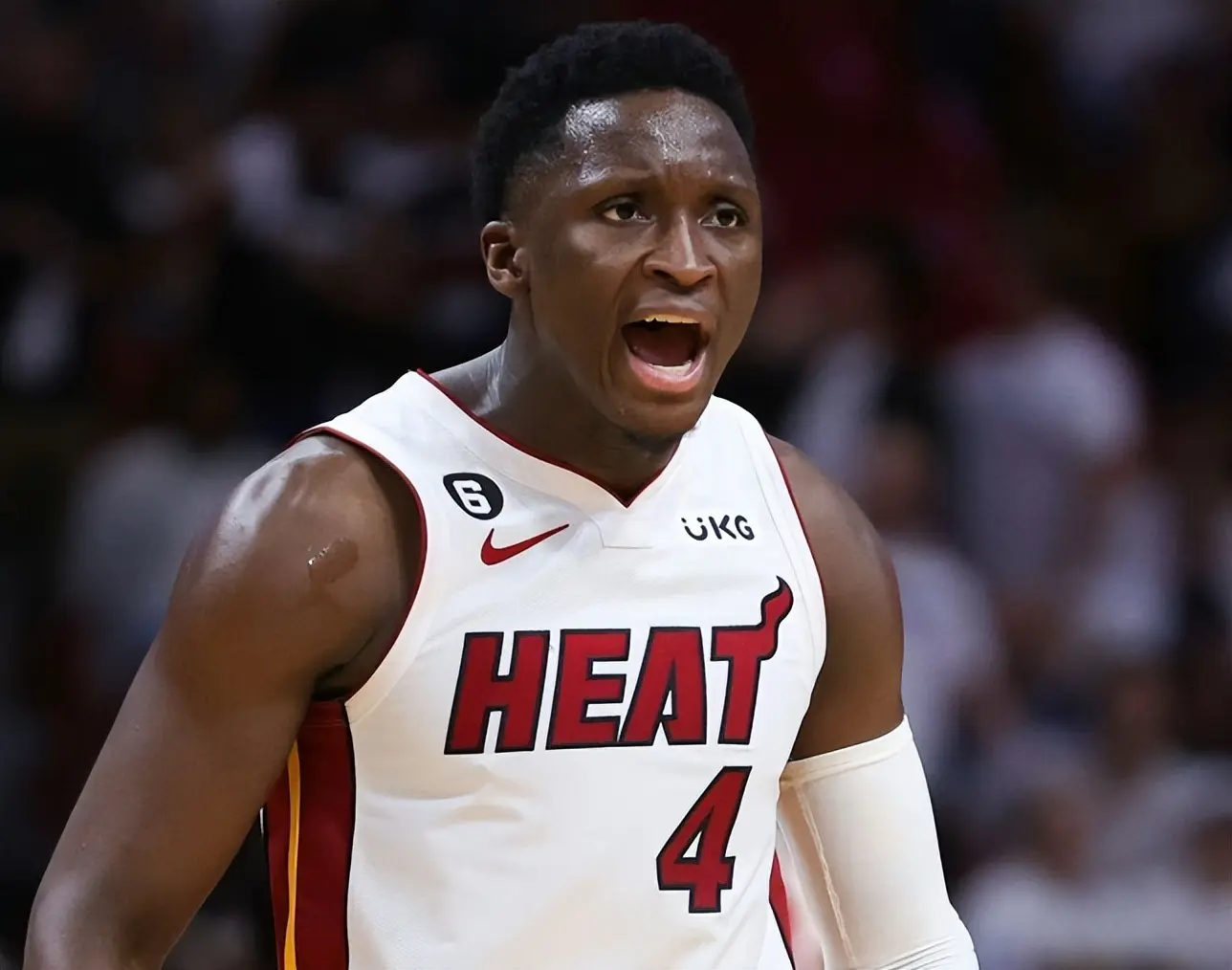 跪着也要走, cn 跪着也要走, cn