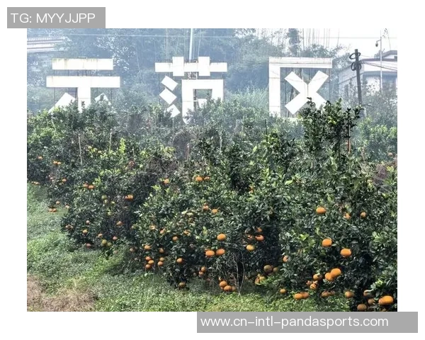 200名选手现场比拼！四川宜宾翠屏区垂钓竞赛让村庄热烈起来